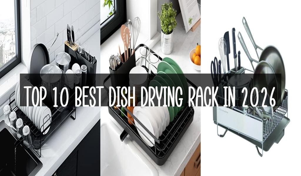 Top 10 Best Dish Drying Rack in 2026